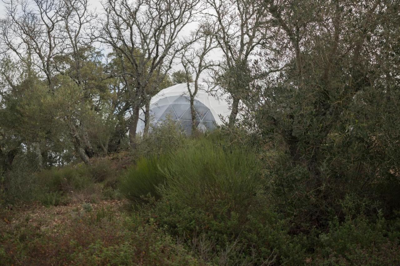 Alojamiento Rural Camino Beturia Cabeza la Vaca Εξωτερικό φωτογραφία