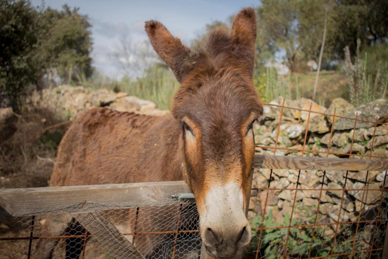 Alojamiento Rural Camino Beturia Cabeza la Vaca Εξωτερικό φωτογραφία